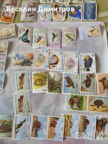 Марки, снимка 12 - Филателия - 53965871