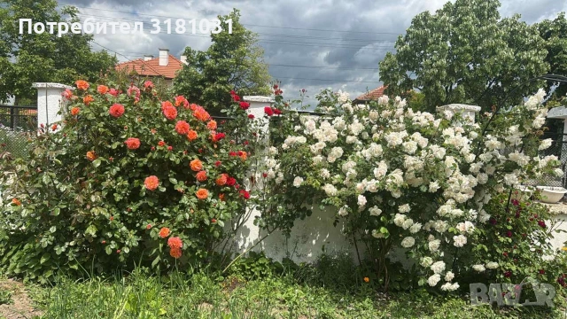 Къща в гр.Стралджа, снимка 15 - Къщи - 55042685