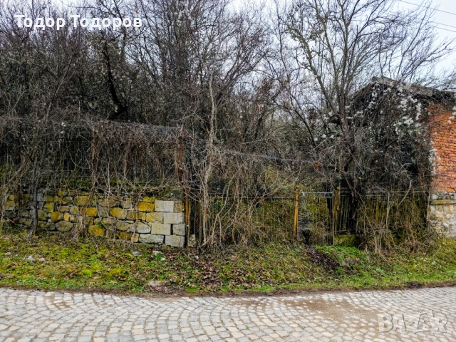 Парцел в с. Дивля, област Перник, снимка 11 - Парцели - 54305864