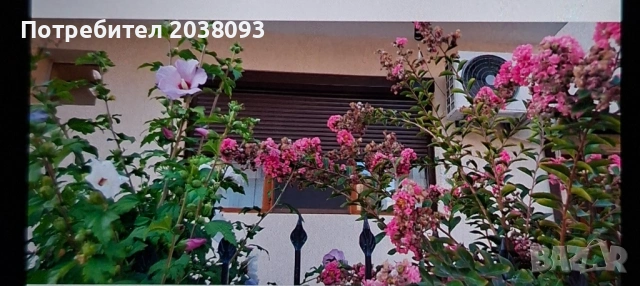 Стая за двама