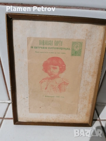Вестник ВОЛЯ 1938 и каталози и списания Пчела , снимка 15 - Антикварни и старинни предмети - 32220492