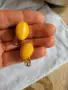 балтийски кехлибар. кехлибар, снимка 3