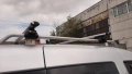 VW CADDY, снимка 4