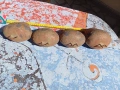Хлопки , чанове , снимка 2