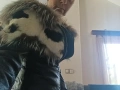 Кожено яке , снимка 1