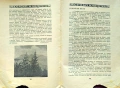 Селска младежь. Год 1: Кн. 1 / 1942, снимка 4