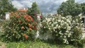 Къща в гр.Стралджа, снимка 15