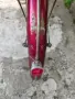 Ретро велосипед Bianchi Sport 1950г перфектно състояние , снимка 10