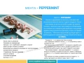  Разпродажба на оригинални масла dōTERRA! , снимка 1