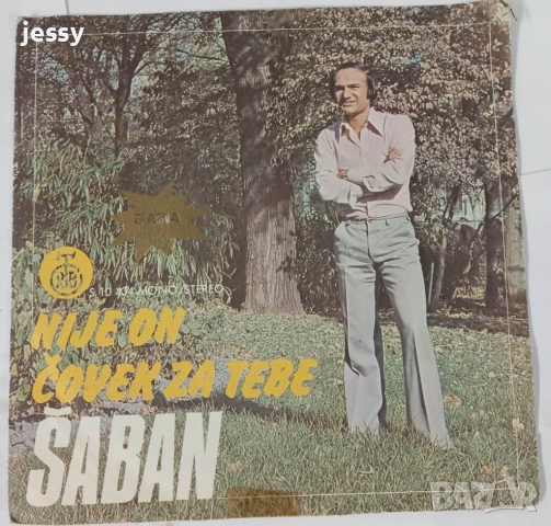 Saban Saulic - Колекция плочи, снимка 2 - Грамофонни плочи - 54768569