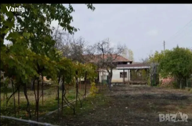 Огромна масивна къща с гаражи, кладенец и голям двор / 30 км от Видин, снимка 3 - Вили - 55428073