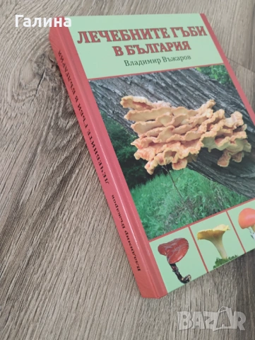Лечебните гъби в България, снимка 2 - Енциклопедии, справочници - 54389086