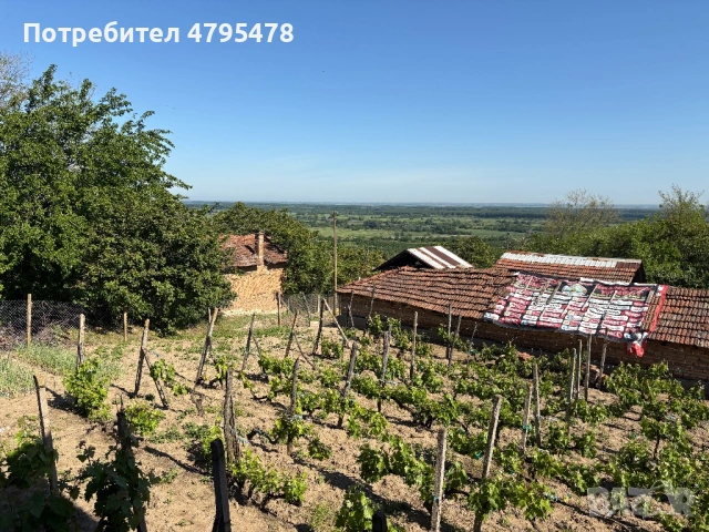 Продавам Къща с лятна кухня, двор и стопанска сграда , снимка 11 - Къщи - 54179017