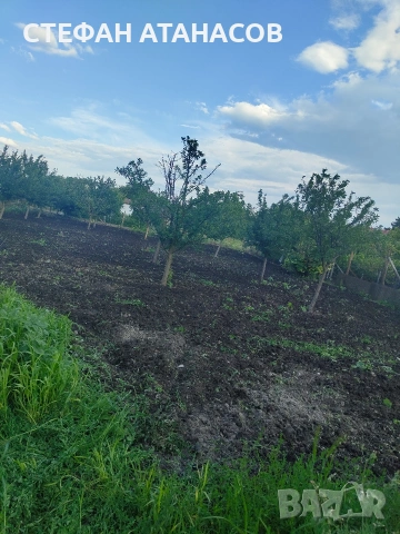 КЪЩА В с. Калчево, снимка 5 - Къщи - 54838550