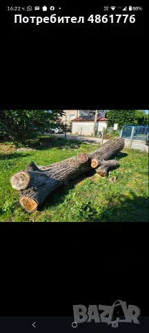 Ствол на дърво- орех, снимка 2 - Други стоки за дома - 55673923