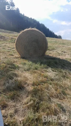 Продавам рулонни бали.Цена 25 €., снимка 2 - За селскостопански - 55579803