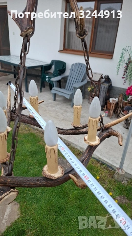 Красив полилей от еленски рога , снимка 10 - Полилеи - 54169100