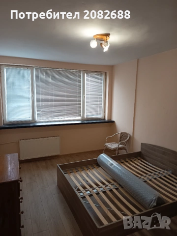 Стая , снимка 3 - Стаи под наем - 54069979