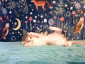 Коте за осиновяване, снимка 2