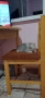 Персийски котенца, снимка 4