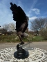 Внушителна бронзова скулптура "Орел Рибар с улов" – GLORENZO, 56 см, 6.6 кг, снимка 3