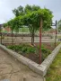 Продавам къща в с. Чирен, област Враца, снимка 6