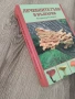 Лечебните гъби в България, снимка 2