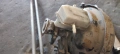 Серво спирачна помпа 8200 076 082 B Renault Espace 4, снимка 3