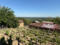 Продавам Къща с лятна кухня, двор и стопанска сграда , снимка 11