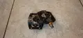 shimano pd-m820 saint spd платформени клипс педали за планински велосипед колело байк, снимка 10