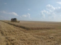 Комбайна New Holland TF 42, снимка 4
