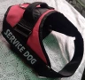 Професионален кучешки нагръдник K9 SERVICE DOG – Розов (XL) / Зелен (L), снимка 3