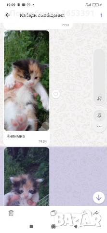 подарявам с благодарност който приеме подарък а, снимка 4 - Други - 54886334
