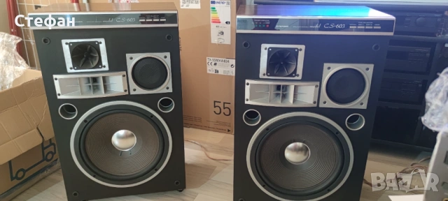 Pioneer CS-603