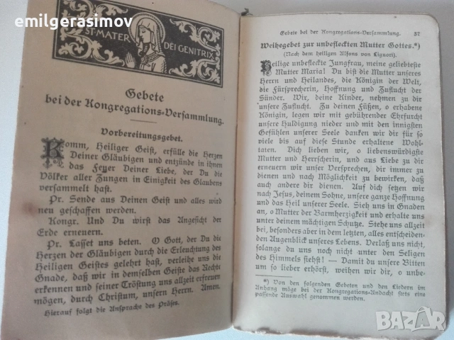 Две антикварни книги и шест картини,графика ., снимка 18 - Картини - 28217285