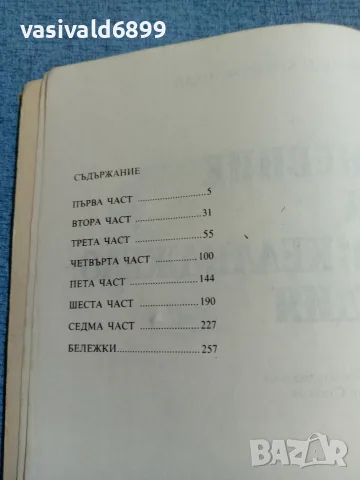 Роландо Кристофанели - Дневник на Микеланджело лудия , снимка 5 - Художествена литература - 55661698