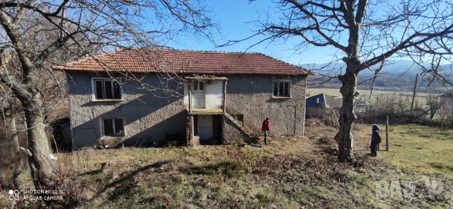 Урегулиран парцел 1500 кв.м. с ток, вода и стара къща в с. Дружинци, снимка 2 - Къщи - 55124925