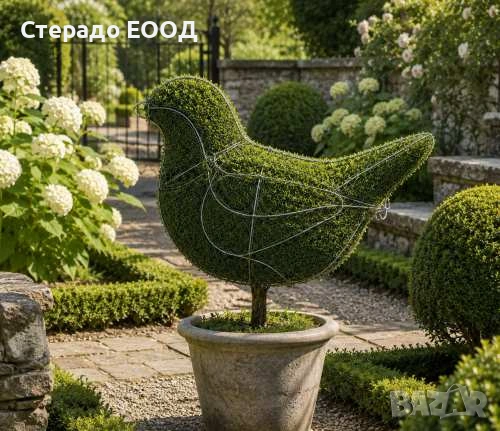 ТОПИАРНА ФОРМА - ПТИЦА, снимка 3 - Градински мебели, декорация  - 54882428