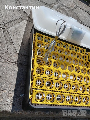 Инкубатор за яйца (Cleo/Argis) – Капацитет 56 яйца, снимка 3 - За птици - 54333073