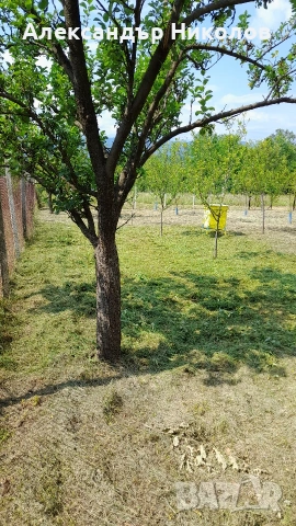 Продава се парцел в село Пецовци, снимка 5 - Парцели - 55091766