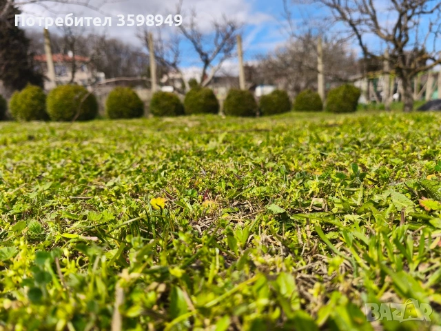 Косене 150€ /декар, снимка 2 - Други услуги - 54039642