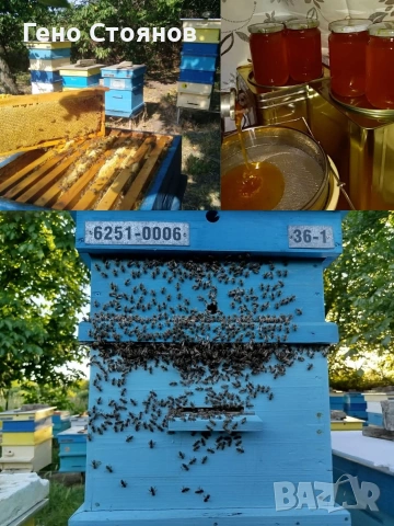 Пчелен мед 