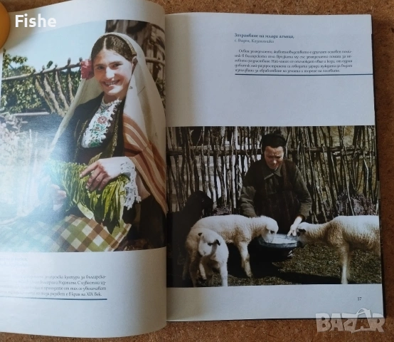 Продавам книгата "Царство България в цвят", снимка 7 - Художествена литература - 54213070