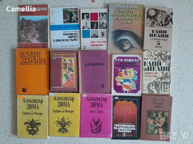 Лот от книги