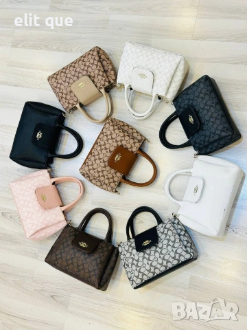 чанти coach 