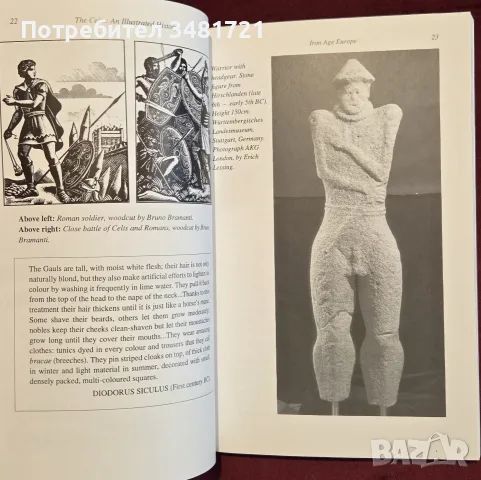 The Celts. An Illustrated History, снимка 5 - История, политика и общество - 55362474