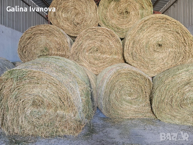 Продавам  рулонни бали люцерна от 1-ви откос. ✔ Размер на балата: 175 см ✔ Цена: 90 евро/брой За пов