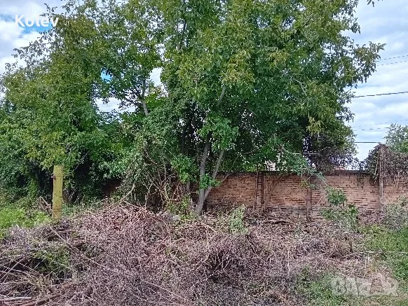 Къща с двор 2,5 декара в село Ресен, снимка 14 - Къщи - 55335764
