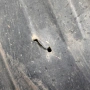 Задна лява кора под купе Honda FR-V 2004-2007 ID: 162385 OEM 74608-SJD-E000, снимка 3