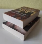ТРИ СЕСТРИ, ТРИ КРАЛИЦИ / УКРОТЯВАНЕТО НА КРАЛИЦАТА - Филипа Грегъри   , снимка 3